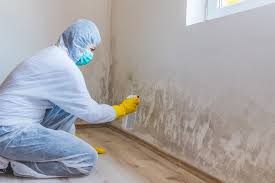 Best Commercial Mold Inspection  in Passaic, NJ