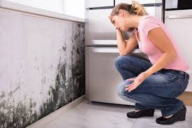 Best Emergency Mold Remediation  in Passaic, NJ